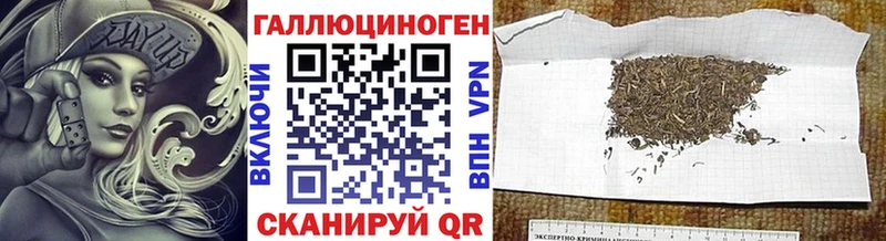 Галлюциногенные грибы Psilocybine cubensis  это наркотические препараты  Александровское 