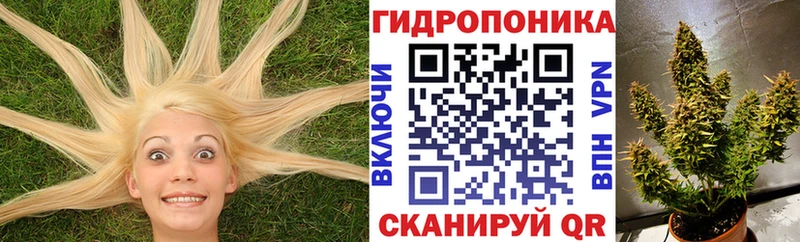 Каннабис White Widow  закладки  Александровское 